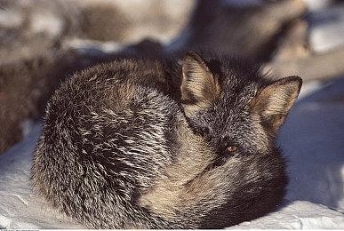 反乌托邦冒险游戏新作《纸飞机效应》推出试玩版